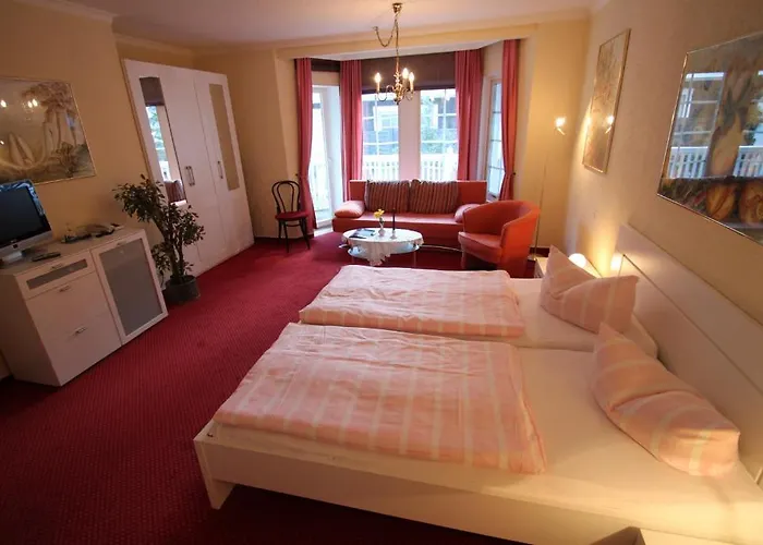 Im Schwedischen Hof מלון בינץ